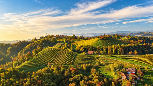 Slovenska Štajerska prva vinska destinacija u Europi? Evo koje su još među 12 najboljih prema European Best Destinations