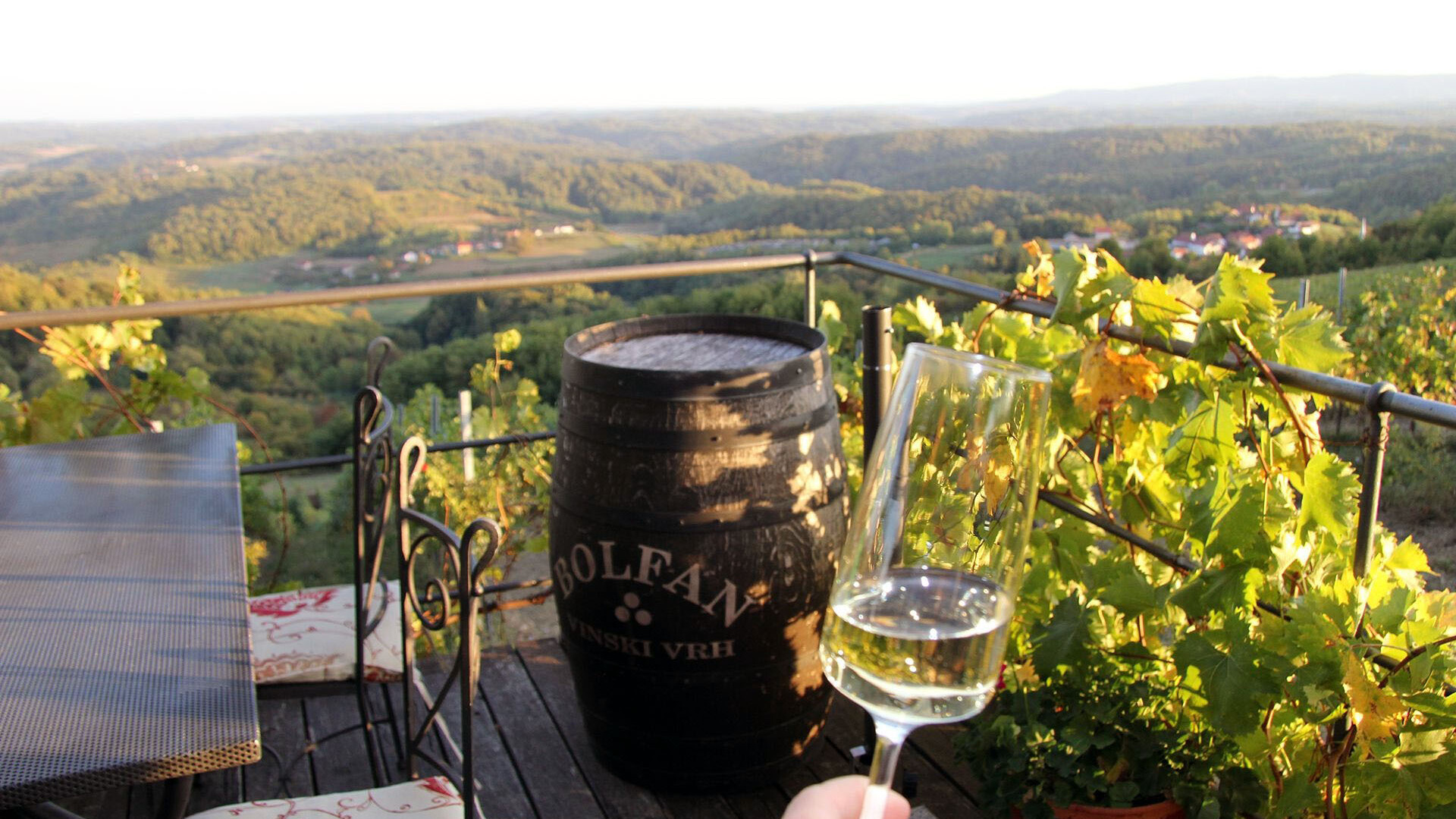 Terroir na tanjuru i u čaši! Fina domaća hrana, dobar stari ugođaj u vinariji Bolfan Vinski Vrh i lijepo novo vino Crveni Bregi