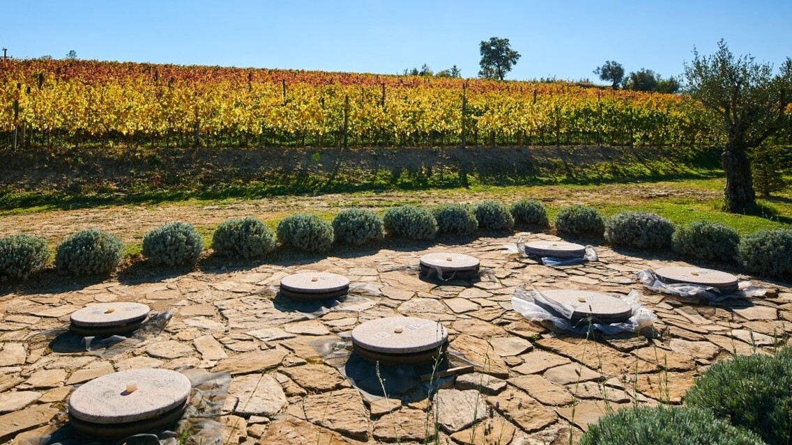Joško Gravner from Collio, the Italian side of the Goriška Brda region, brought amphora wines back in modern world