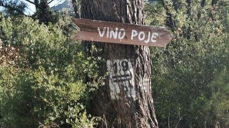 Vinska priča s Lastova: Ribafish naš dragi obišao je sve vinarije prekrasnog otoka... Bio je u obje