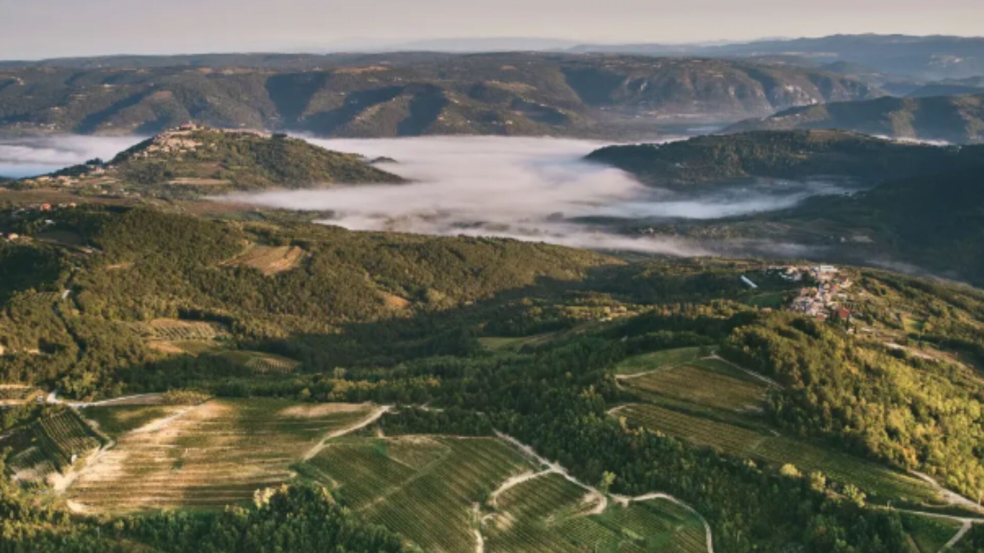 Fotografija istarskog vinograda uvrštena među 50 najljepših svjetskih pejzaža na izložbi bordoškog muzeja Cité du Vin