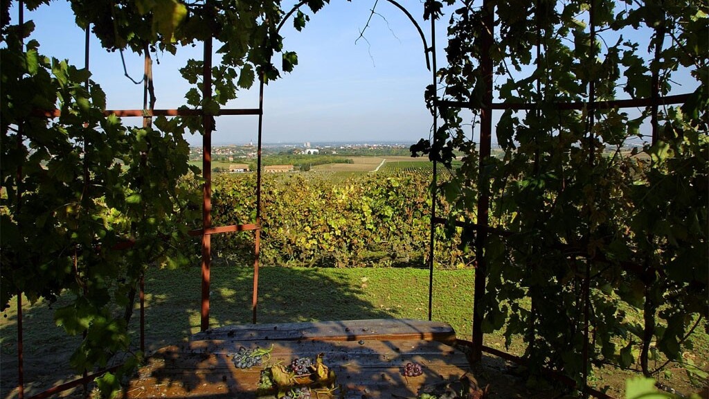 Ilok Grape Harvest: The 59th edition offers fun, merriment, food and wine on Friday and Saturday, September 4 and 5