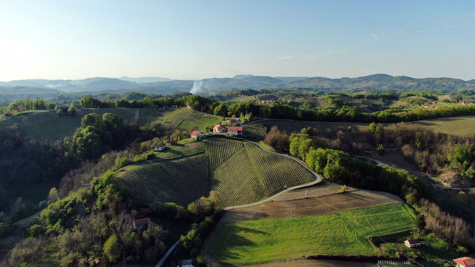 Terroir na tanjuru i u čaši! Vinarija Petrač bila je domaćin prvog druženja s vinima i hranom iz istoga kraja