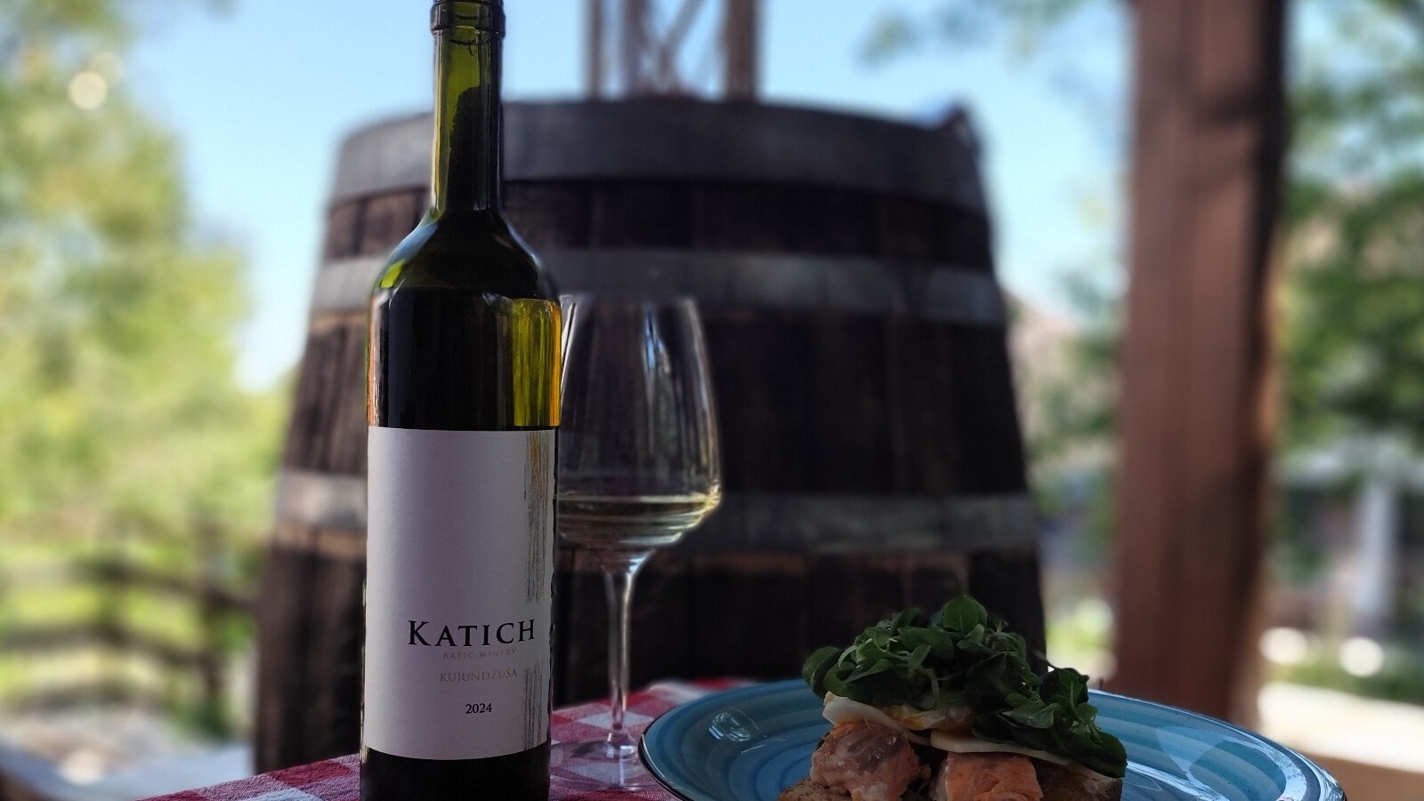 Katich Kujundžuša 2024. pairs excellently with a salmon and avocado sandwich drizzled with fine vinegar