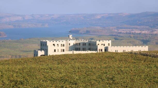 Nor among flowers there is no justice, is a verse from Petrica Kerempuh's ballad. Neither among grapes... Here are three underrated