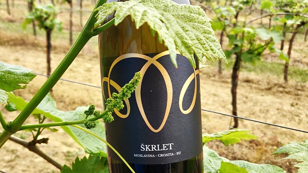 Škrlet is a variety with Riesling-like potential! It has fifteen different names and and big problem: there is very little of it...